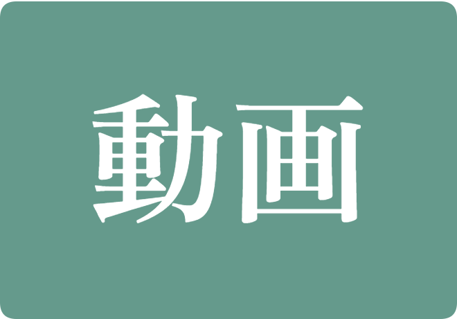 動画