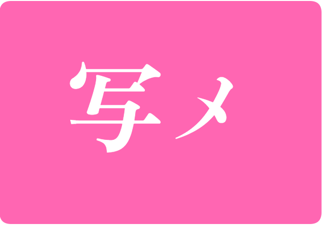 写メ日記